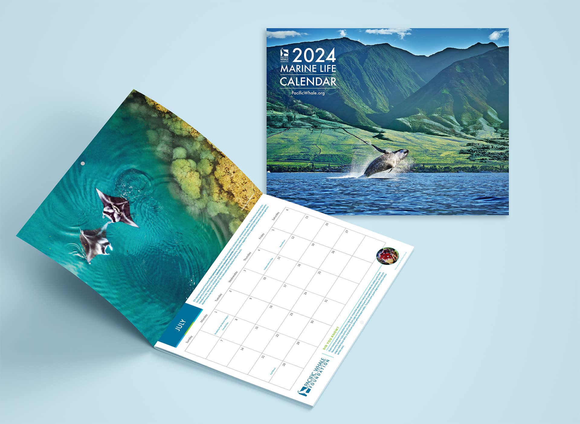 Our Marine Life Calendar | Pacific Whale Foundation (PWF)