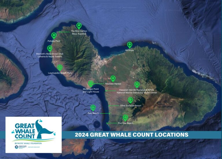 Edit Great Whale Count Digital Map