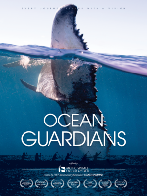 A4_Official Film Poster