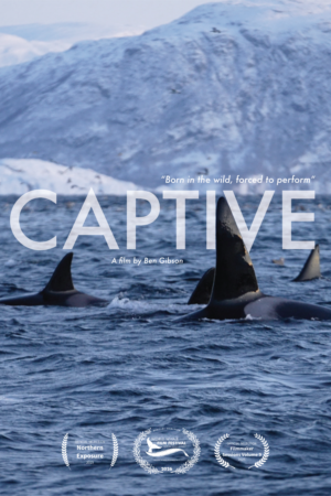 Captive (United Kingdom)