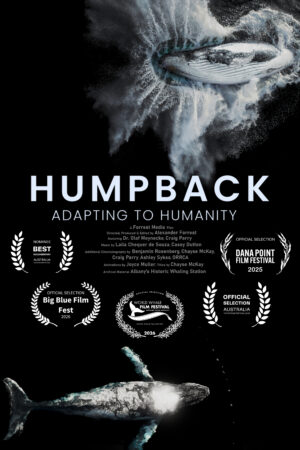 Humpback – Adapting to Humanity (Australia)