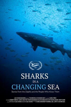 Sharks in a Changing Sea