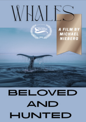 Whales Beloved and Hunted (Germany)