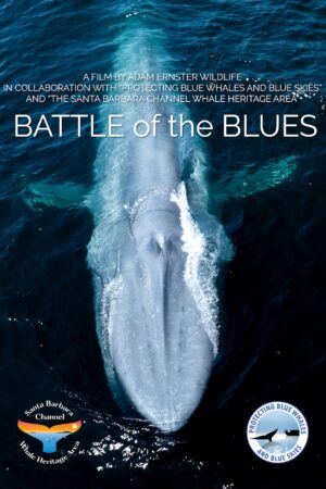 Battle of the Blues (USA)