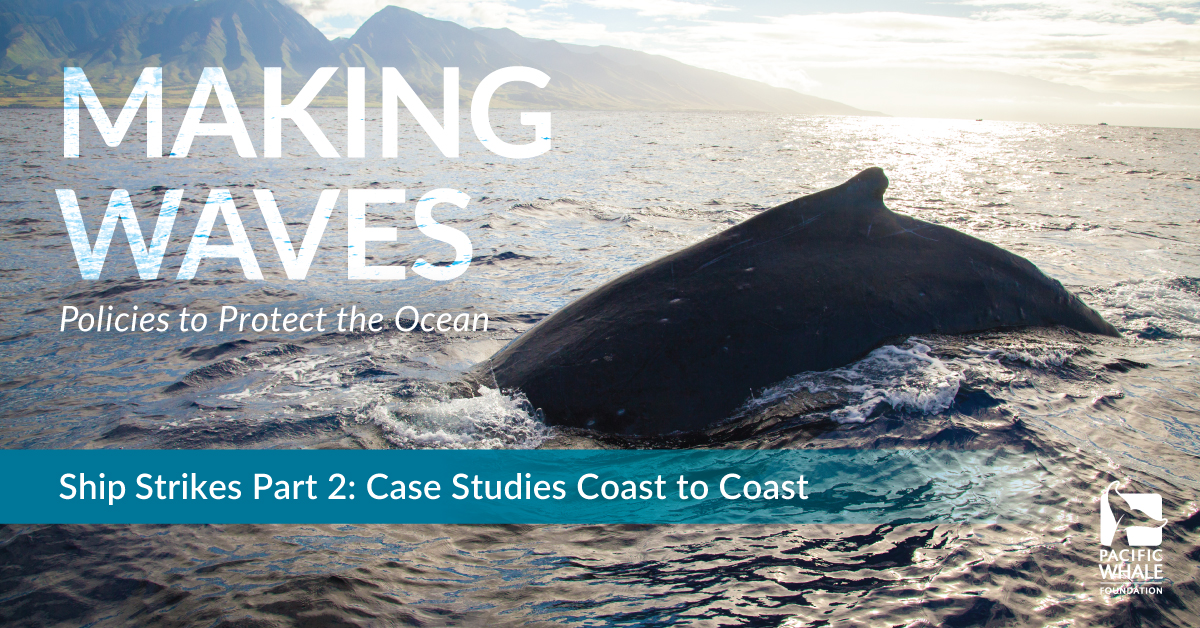 MAKING WAVES – SHIP STRIKES PART 2: CASE STUDIES COAST TO COAST ...