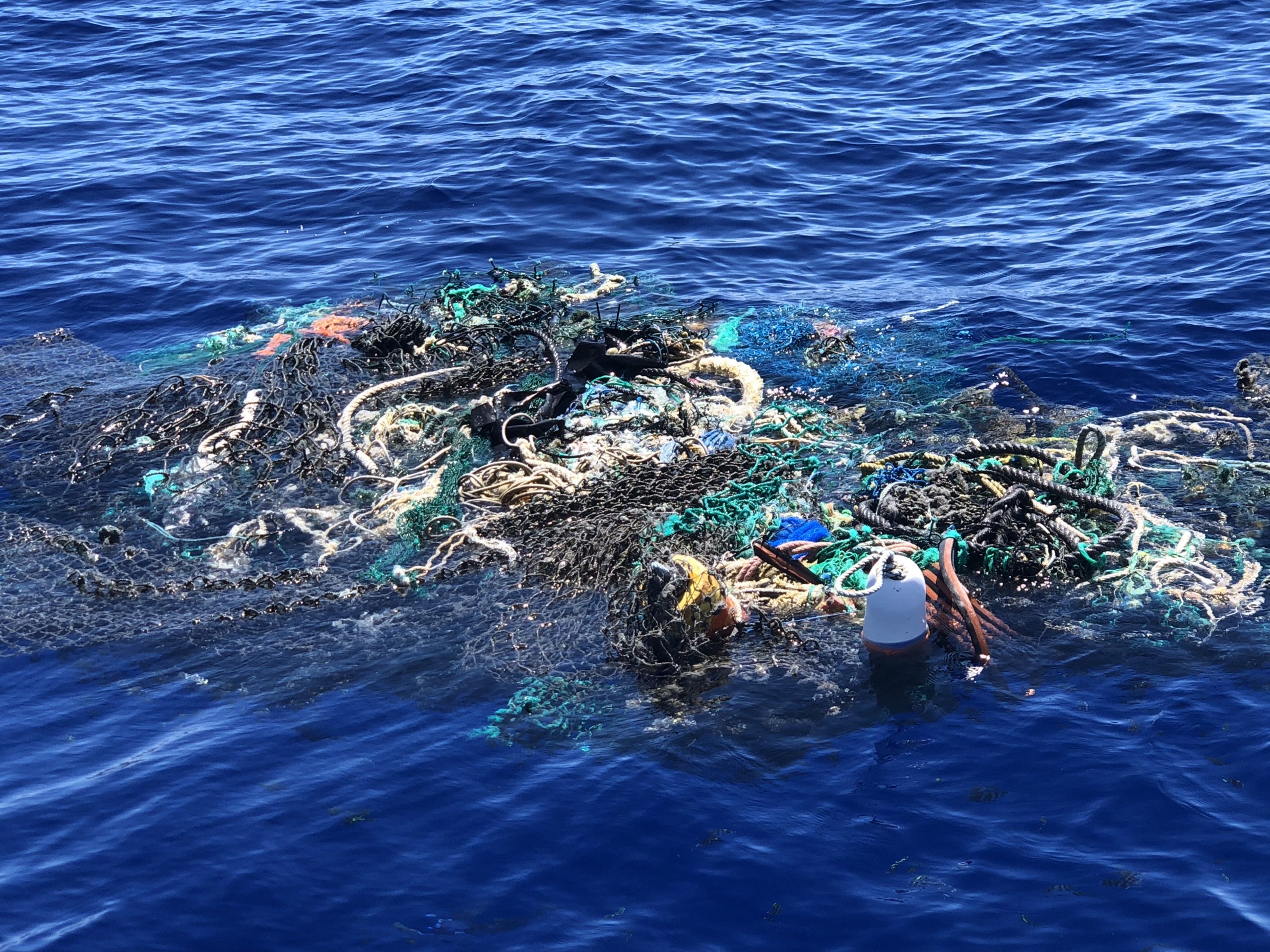 MAKING WAVES - Marine Debris Part 1: An Overview - Pacific Whale Foundation