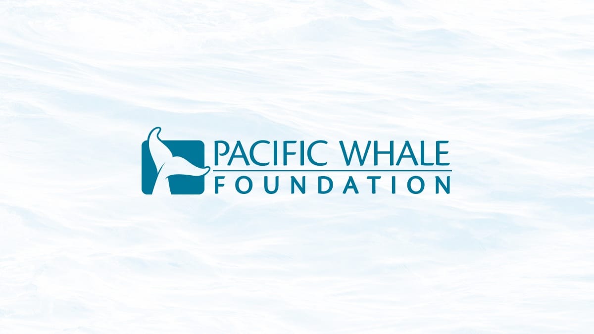 Women's Bliss Slub Tank Dress | Pacific Whale Foundation